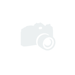 Arknights Nendoroid Actionfigur W 10 cm