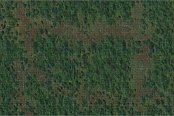 D&D Icons of the Realms: Battle Mat Wald