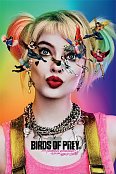 Birds Of Prey Poster Set Seeing Stars 61 x 91 cm (5)