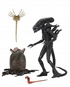 Alien 1979 Actionfigur Ultimate 40th Anniversary Big Chap 23 cm --- BESCHAEDIGTE VERPACKUNG