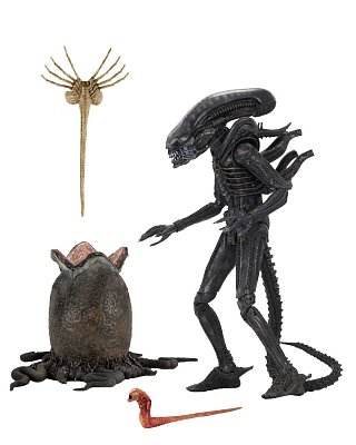 Alien 1979 Actionfigur Ultimate 40th Anniversary Big Chap 23 cm --- BESCHAEDIGTE VERPACKUNG