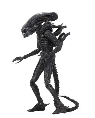 Alien 1979 Actionfigur Ultimate 40th Anniversary Big Chap 23 cm --- BESCHAEDIGTE VERPACKUNG