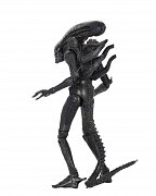 Alien 1979 Actionfigur Ultimate 40th Anniversary Big Chap 23 cm --- BESCHAEDIGTE VERPACKUNG