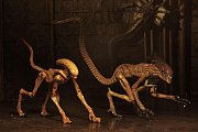 Alien 3 Zubehör-Set für Actionfiguren Creature Accessory Pack