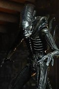 Alien Actionfiguren 18 cm 40th Anniversary Serie 3 Sortiment (14)