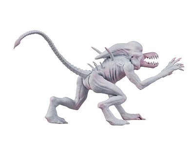 Alien & Predator Classics Actionfiguren 14 cm Sortiment (8)