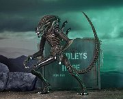 Aliens Actionfiguren 23 cm Ultimate Warrior Sortiment (8)