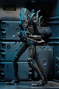 Aliens Actionfiguren 23 cm Ultimate Warrior Sortiment (8)