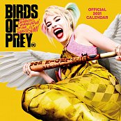 Birds of Prey Kalender 2021 *Englische Version*