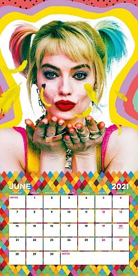 Birds of Prey Kalender 2021 *Englische Version*