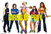 Birds of Prey Poster Set Group 61 x 91 cm (5)
