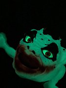 Boglins Handpuppe Dark Lord Crazy Clown