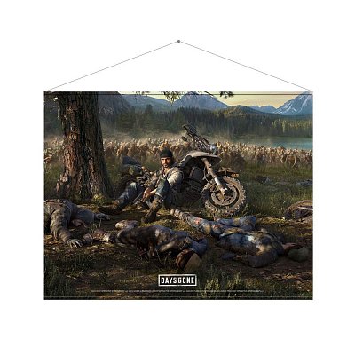 Days Gone Wandrolle Cover Art 100 x 77 cm
