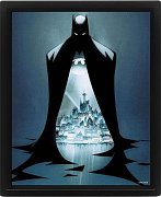 DC Comics 3D-Effekt Poster Set Batman Gotham Protector 26 x 20 cm (3)