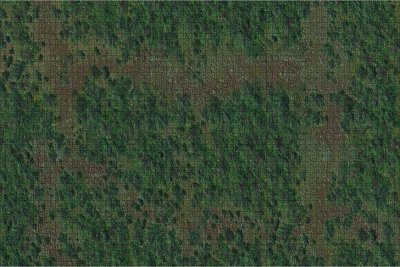 D&D Icons of the Realms: Battle Mat Wald