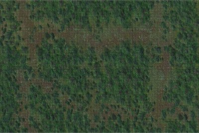 D&D Icons of the Realms: Battle Mat Wald