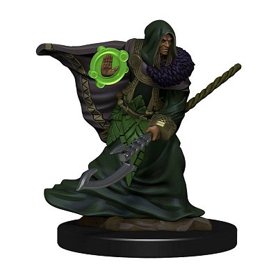 D&D Icons of the Realms Premium Miniatur vorbemalt Elf Druid Male Umkarton (6)