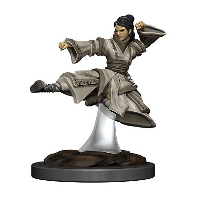 D&D Icons of the Realms Premium Miniatur vorbemalt Human Monk Female Umkarton (6)