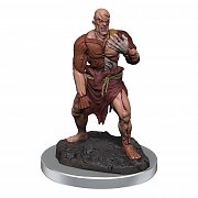 D&D Nolzur\'s Marvelous Miniatures Miniaturen unbemalt 2er-Packs Flesh Golems Umkarton (4)