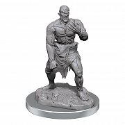 D&D Nolzur\'s Marvelous Miniatures Miniaturen unbemalt 2er-Packs Flesh Golems Umkarton (4)
