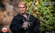 Die Braut des Prinzen Master Series Actionfigur 1/6 Westley/Dread Pirate Roberts 30 cm