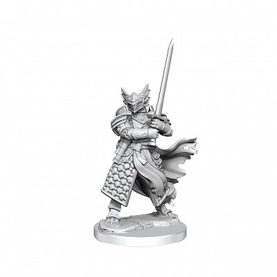 Dungeons & Dragons Frameworks Miniatur-Bausatz Dragonborn Paladin Male