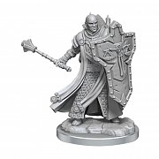 Dungeons & Dragons Frameworks Miniatur-Bausatz Human Cleric Male