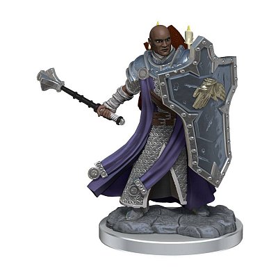 Dungeons & Dragons Frameworks Miniatur-Bausatz Human Cleric Male