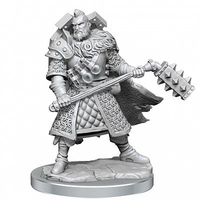 Dungeons & Dragons Frameworks Miniatur-Bausatz Human Fighter Male