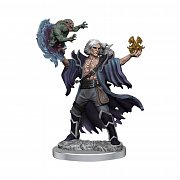 Dungeons & Dragons Frameworks Miniatur-Bausatz Human Warlock Male