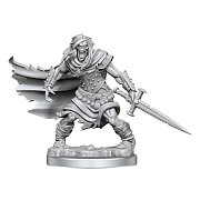 Dungeons & Dragons Frameworks Miniatur-Bausatz Wight