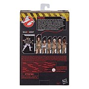 Ghostbusters: Legacy Plasma Series Actionfiguren 15 cm 2021 Wave 1 Sortiment (8)