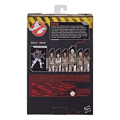 Ghostbusters: Legacy Plasma Series Actionfiguren 15 cm 2021 Wave 1 Sortiment (8)