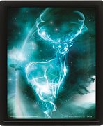 Harry Potter 3D-Effekt Poster Set im Rahmen Expecto Patronum 26 x 20 cm (3)