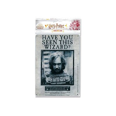 Harry Potter Blechschild Have You Seen This Wizard 15 x 21 cm