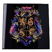 Harry Potter Crystal Clear Picture Wanddekoration Hogwarts Fine Oddities 32 x 32 cm