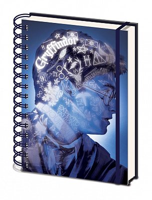 Harry Potter Notizbuch A5 Magic Portrait