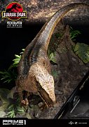 Jurassic Park Statue 1/6 Velociraptor 41 cm