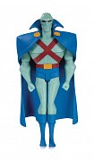 Justice League The Animated Series Actionfigur Martian Manhunter 16 cm --- BESCHAEDIGTE VERPACKUNG
