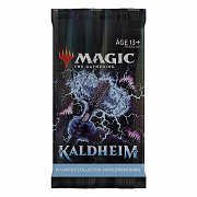 Magic the Gathering Kaldheim Sammler Booster Display (12) französisch