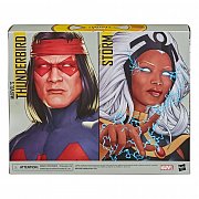 Marvel Legends Actionfiguren 2er-Pack Storm & Marvel\'s Thunderbird 15 cm