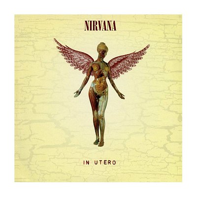 Nirvana Rock Saws Puzzle In Utero (500 Teile)
