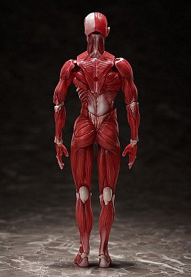 Original Character Figma Actionfigur Human Anatomical Model 15 cm