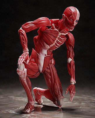 Original Character Figma Actionfigur Human Anatomical Model 15 cm