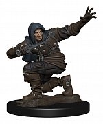 Pathfinder Battles Premium Miniatur vorbemalt Human Rogue Male Umkarton (6)