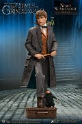 Phantastische Tierwesen 2 Real Master Series Actionfigur 1/8 Newt Scamander 23 cm