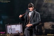 Phantastische Tierwesen: Grindelwalds Verbrechen Actionfigur 1/12 Newt Scamander 17 cm