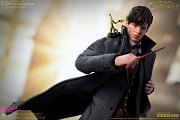 Phantastische Tierwesen: Grindelwalds Verbrechen Actionfigur 1/12 Newt Scamander 17 cm