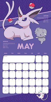 Pokémon Kalender 2021 *Englische Version*