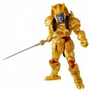 Power Rangers Lightning Collection Actionfiguren 15 cm 2020 Wave 3 Sortiment (8)